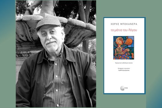 vivlio bokanera